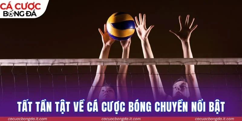 Tất tần tật về cá cược bóng chuyền nổi bật