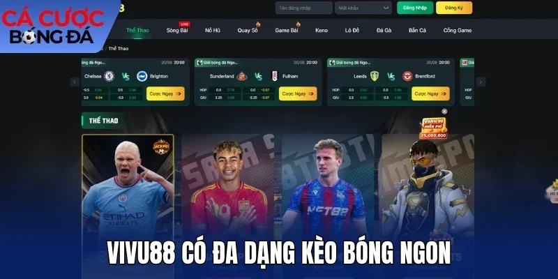 Vivu88 có đa dạng kèo bóng ngon